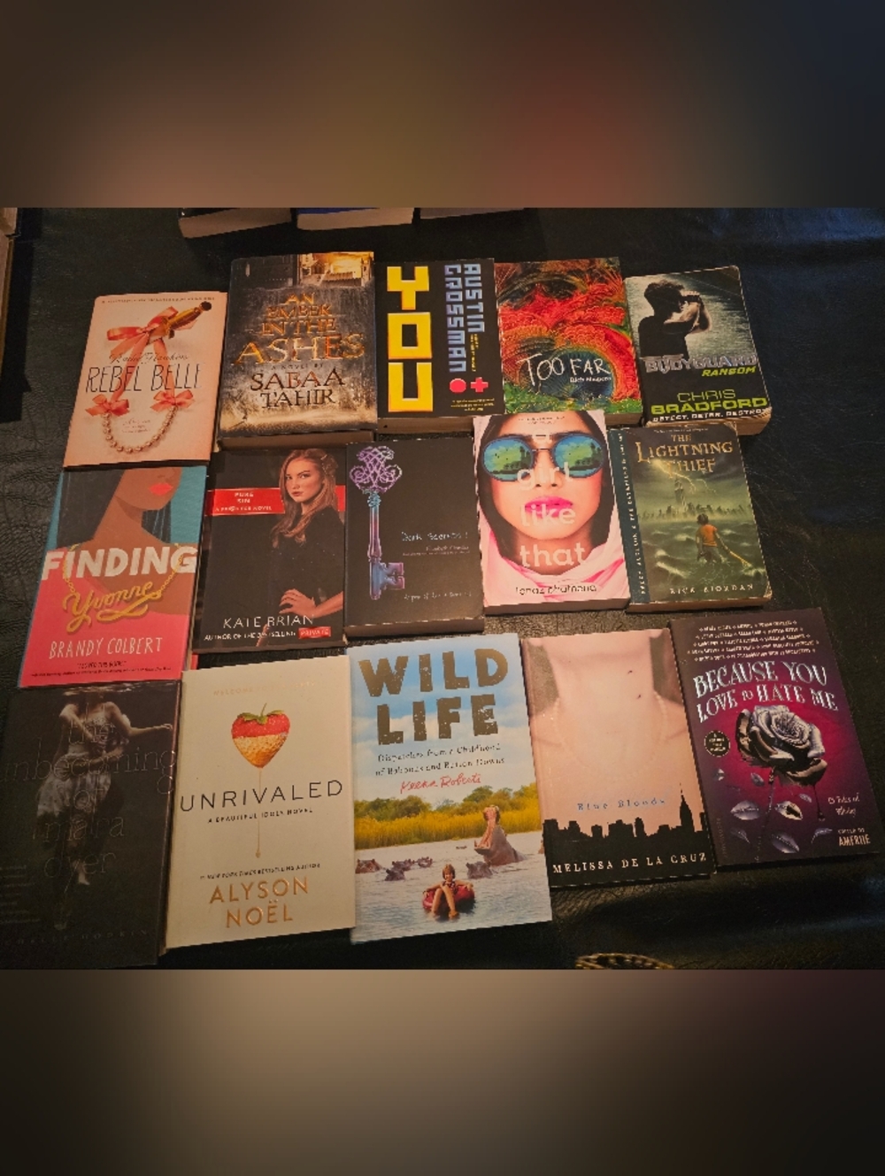 15/25$  Young Adult  Book Lot